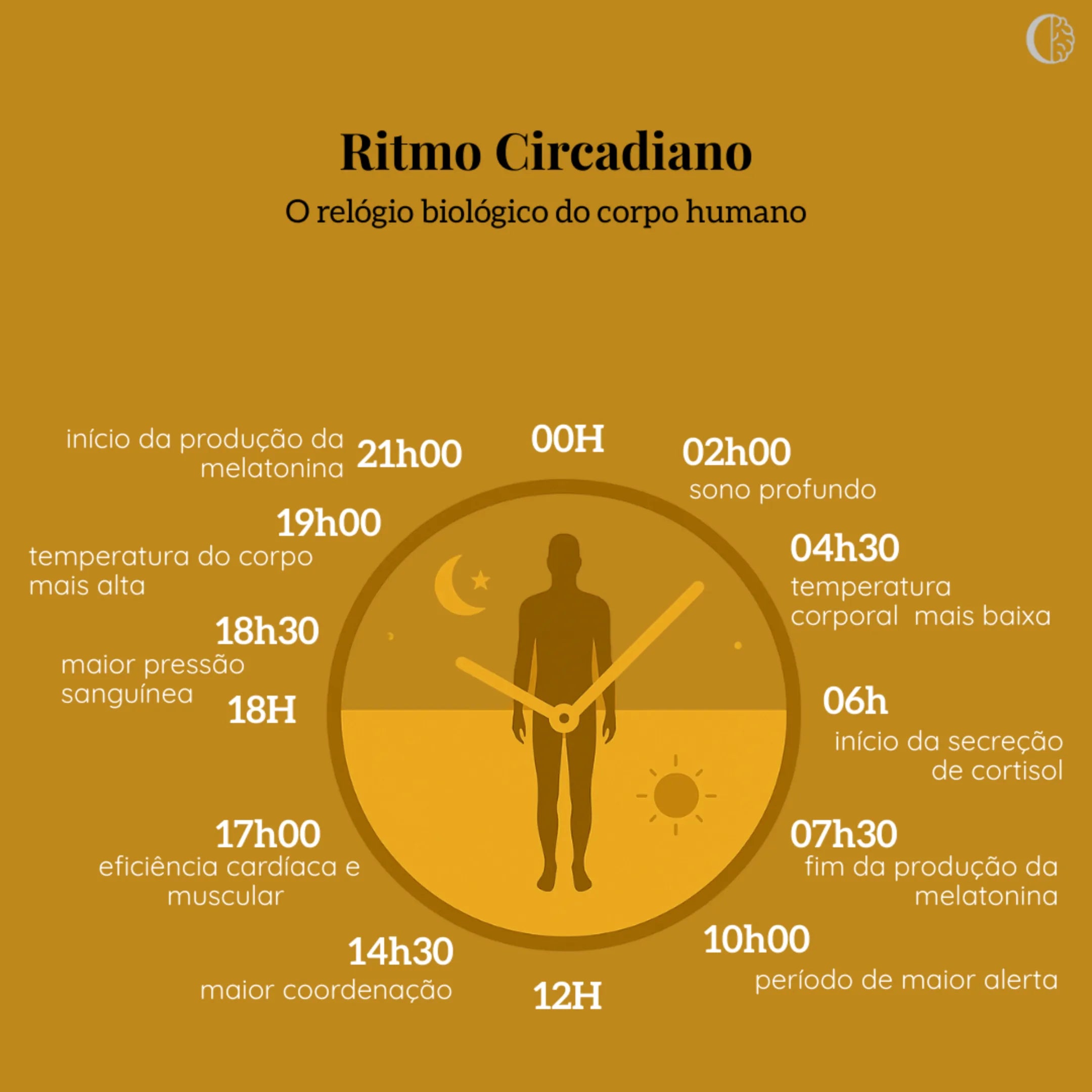 O que é Ritmo Circadiano e Como a Luz Azul Afeta Seu Corpo